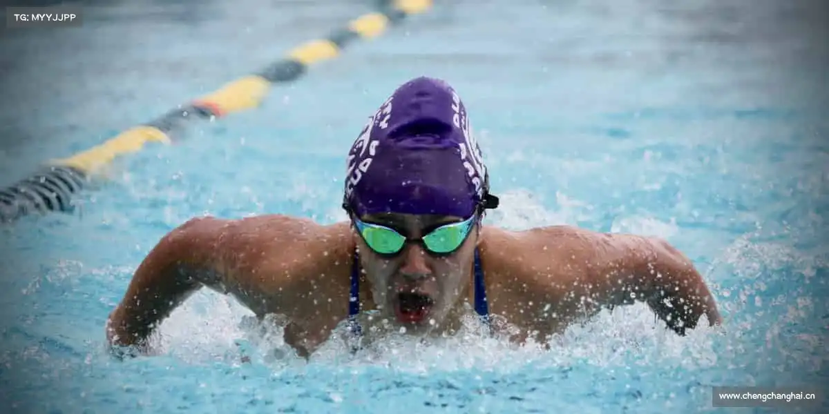 为什么选择我们